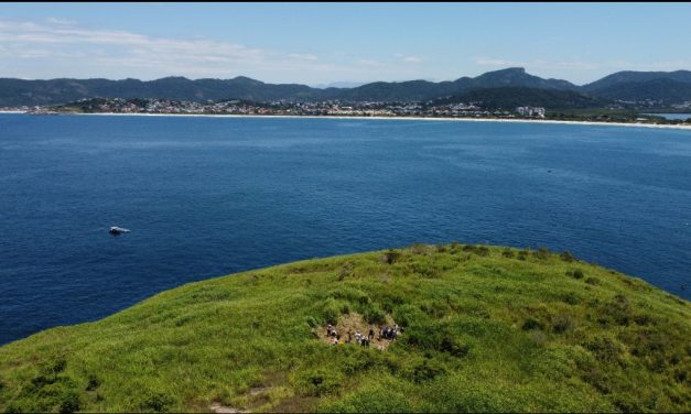 Restauração da vegetação da Ilha da Menina, em Itaipu, é iniciada