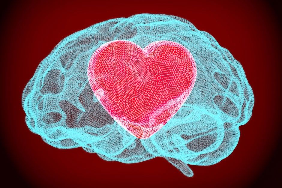 Amor não está no coração, e sim no encéfalo – por Marco Orsini