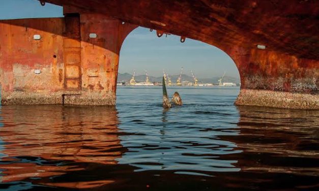 Ongs conseguem promessa do Estado em por fim a cemitério de navios na Baía de Guanabara