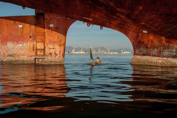 Ongs conseguem promessa do Estado em por fim a cemitério de navios na Baía de Guanabara
