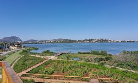 PARQUE ORLA JÁ É UMA DAS BOAS OPÇÕES DE TURISMO DE NITERÓI