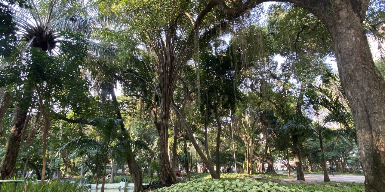 Niterói recebe selo ‘Cidade Árvore do Mundo’ pelo quarto ano seguido 