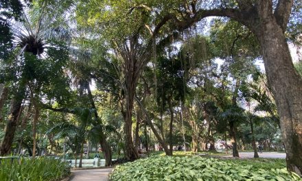 Niterói recebe selo ‘Cidade Árvore do Mundo’ pelo quarto ano seguido 
